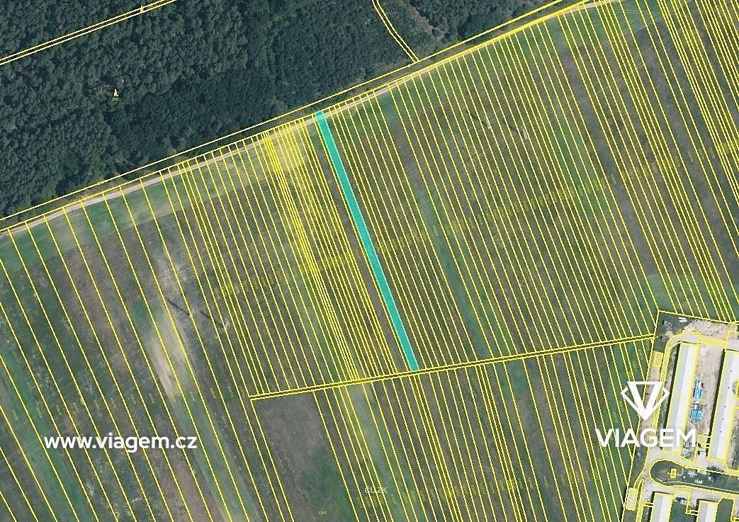 Zemědělský pozemek · Rohatec, okres Hodonín, Jihomoravský kraj - 3