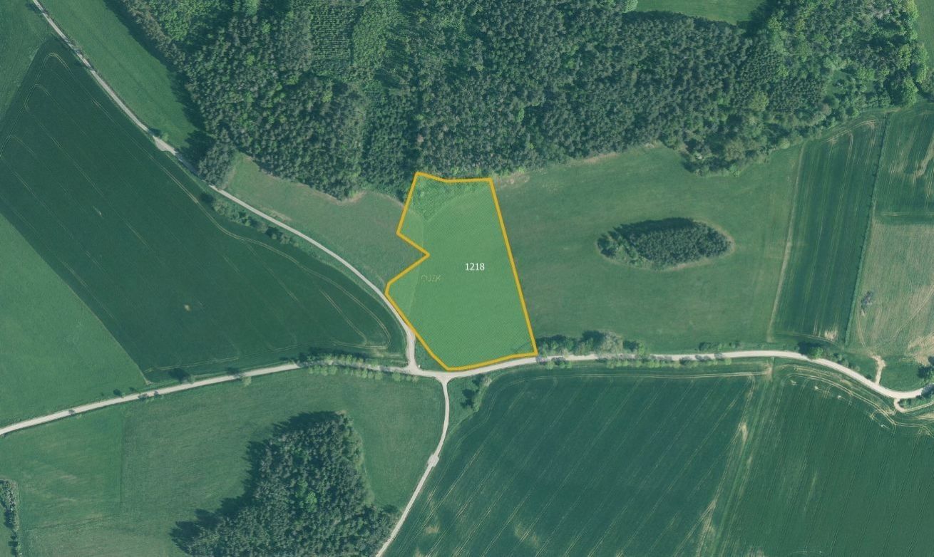 Prodej louka - Kuřimany