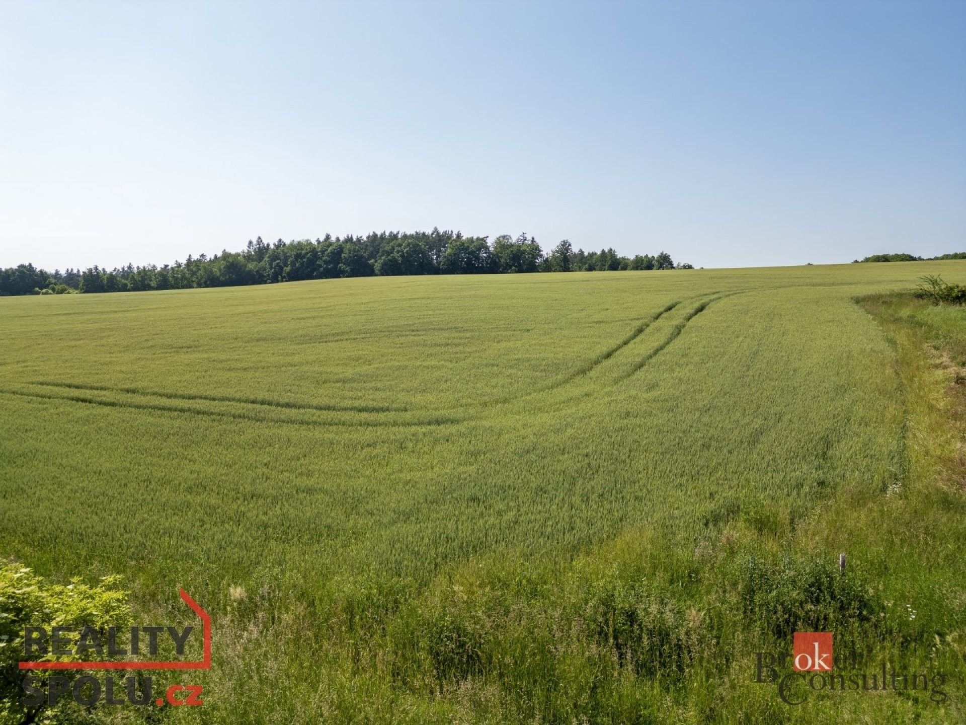 Prodej pozemek pro bydlení - Letovice, 5 460 m²