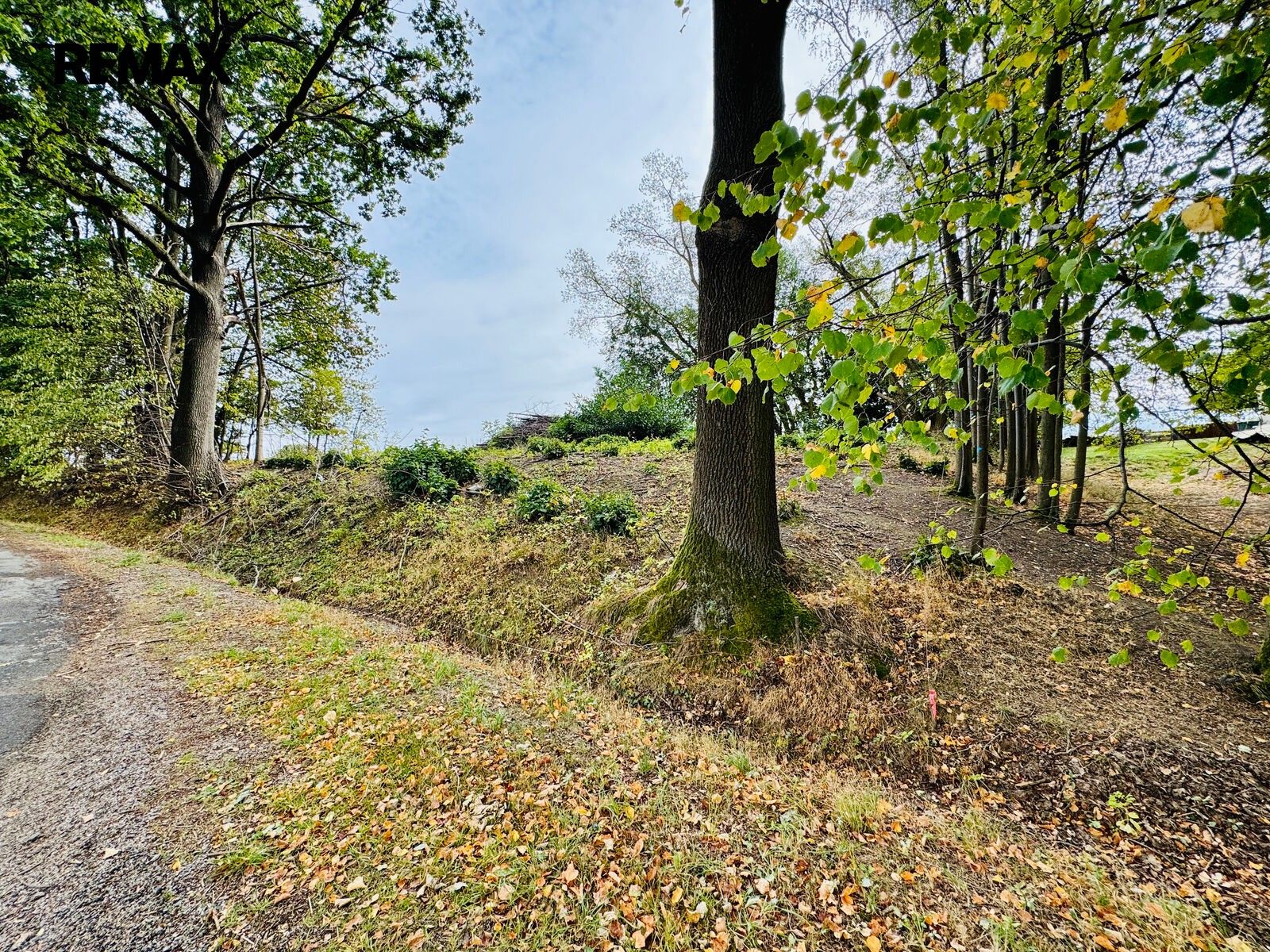 Pozemek pro bydlení · 402 m² · Trhové Sviny - 4