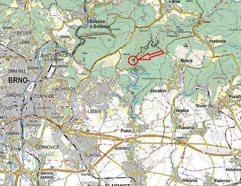 Les · Brno, okres Brno-město, Jihomoravský kraj - 3
