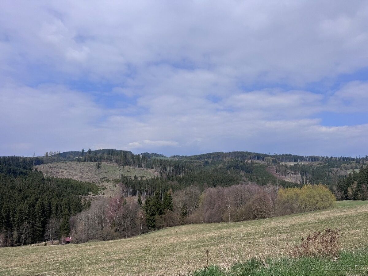 Pozemky pro bydlení, Sněžné, 592 03 - 2
