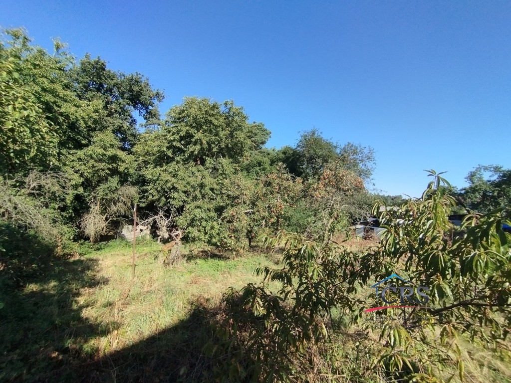 Prodej pozemek pro bydlení - Krupá, 722 m² - 5