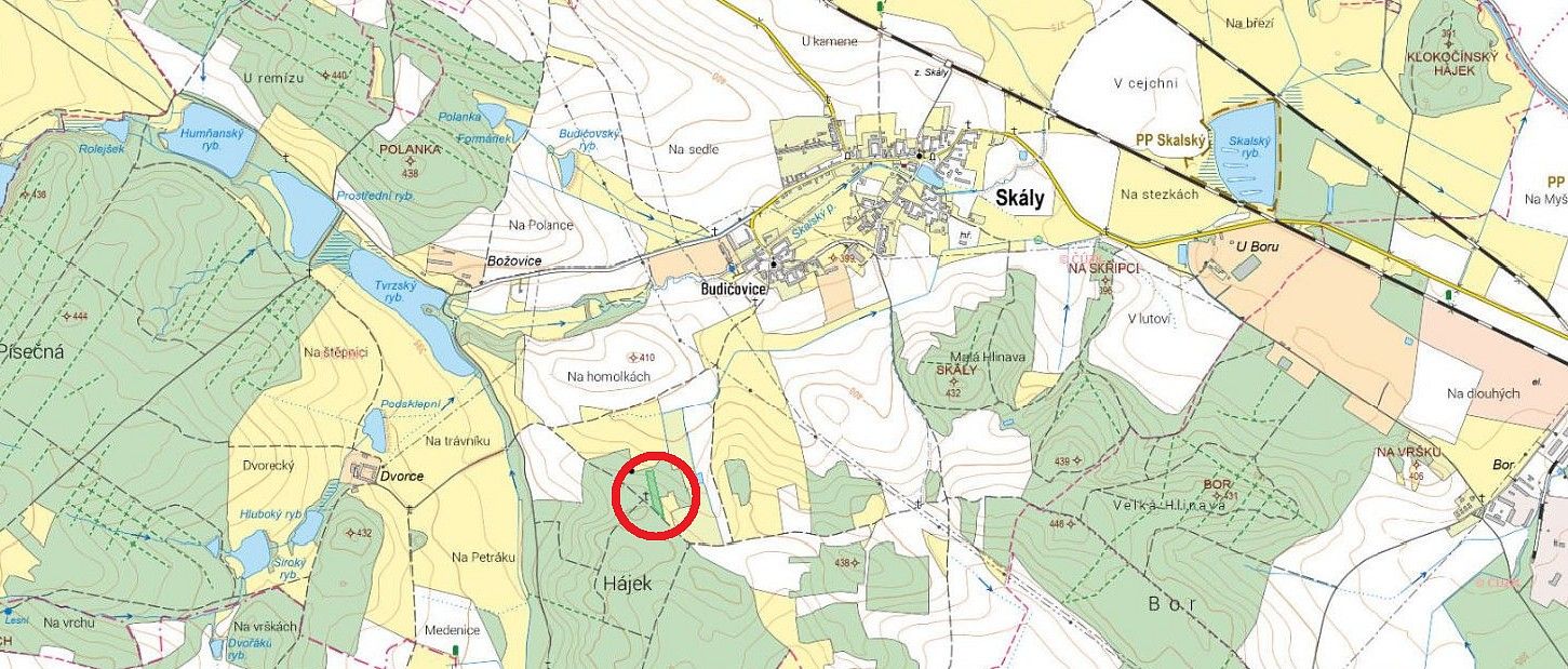 Les · Skály, okres Písek, Jihočeský kraj - 3