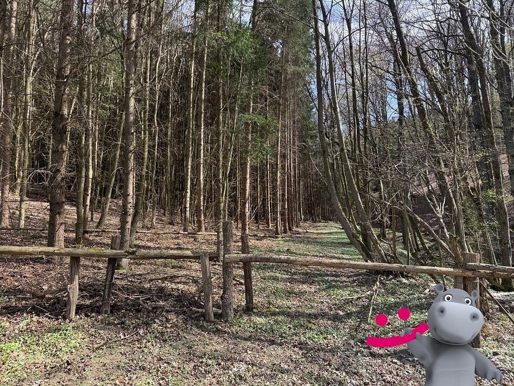 Les · Luhačovice, okres Zlín - 3