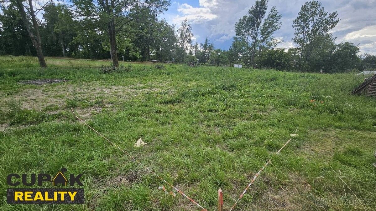 Pozemky pro bydlení, Sebranice u Litomyšle, 569 62