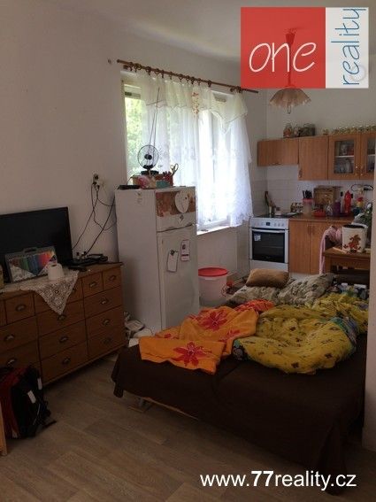 Byt 1+kk · 35 m² · Týniště nad Orlicí - 3