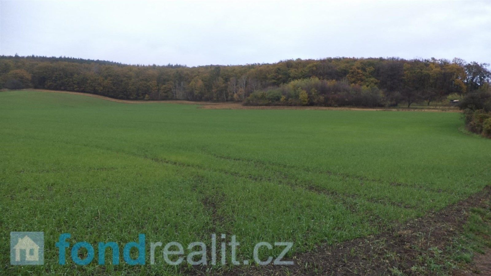 Prodej zemědělský pozemek - Kyjov, 21 433 m²