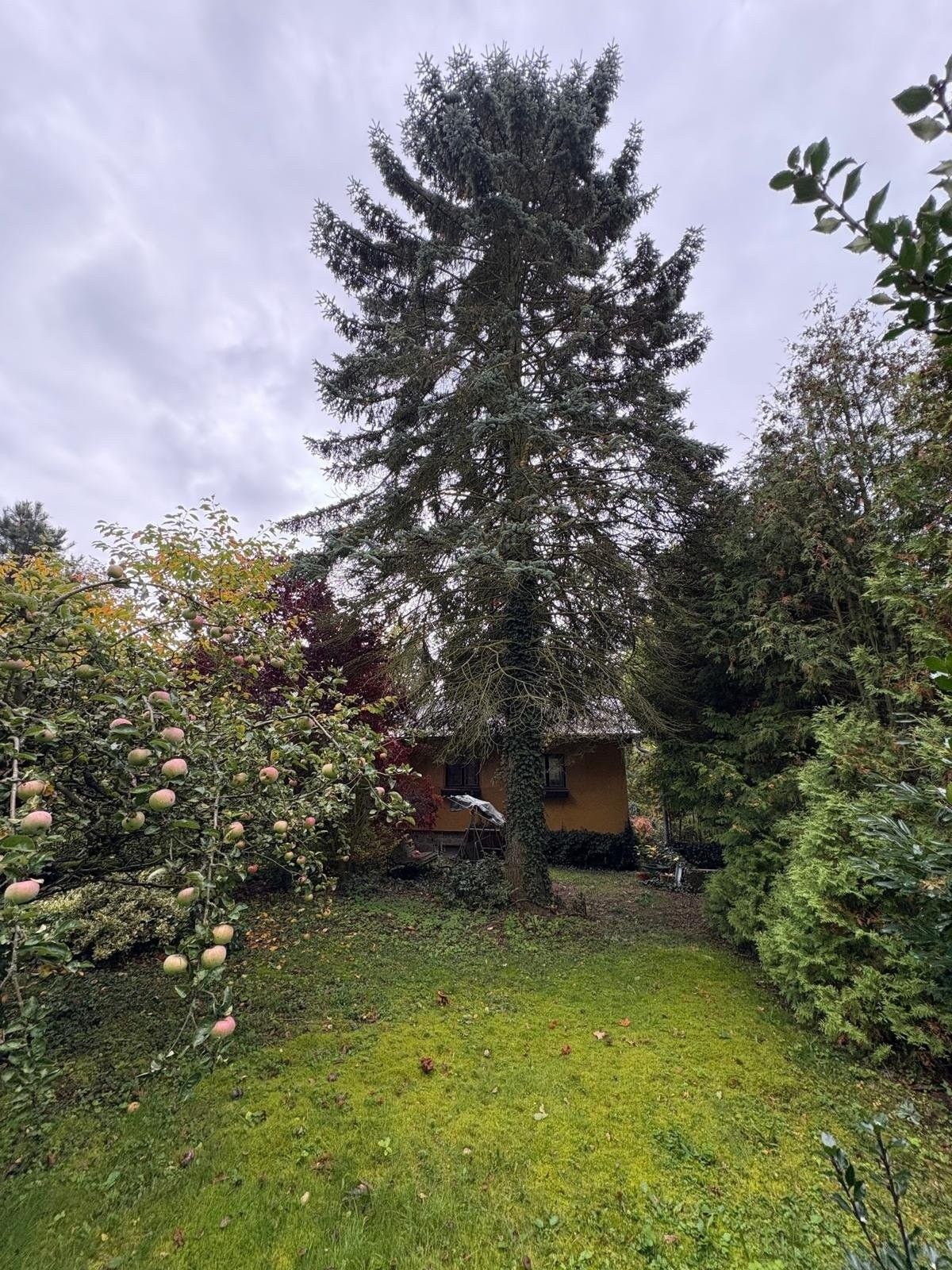 Prodej pozemek pro bydlení - Olešky, Radějovice, 805 m²