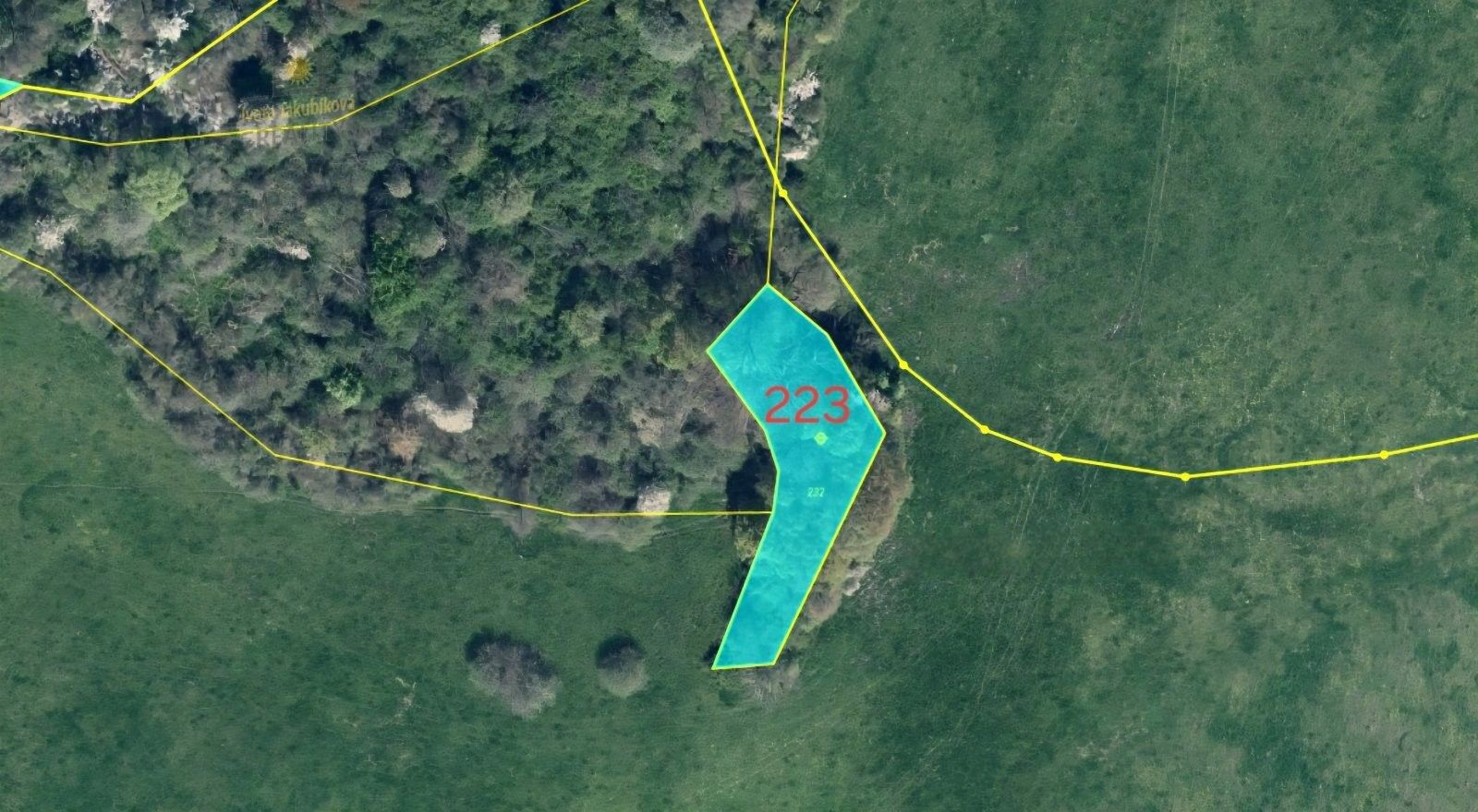 Pozemek · 26 240 m² · Kvítkov - 4