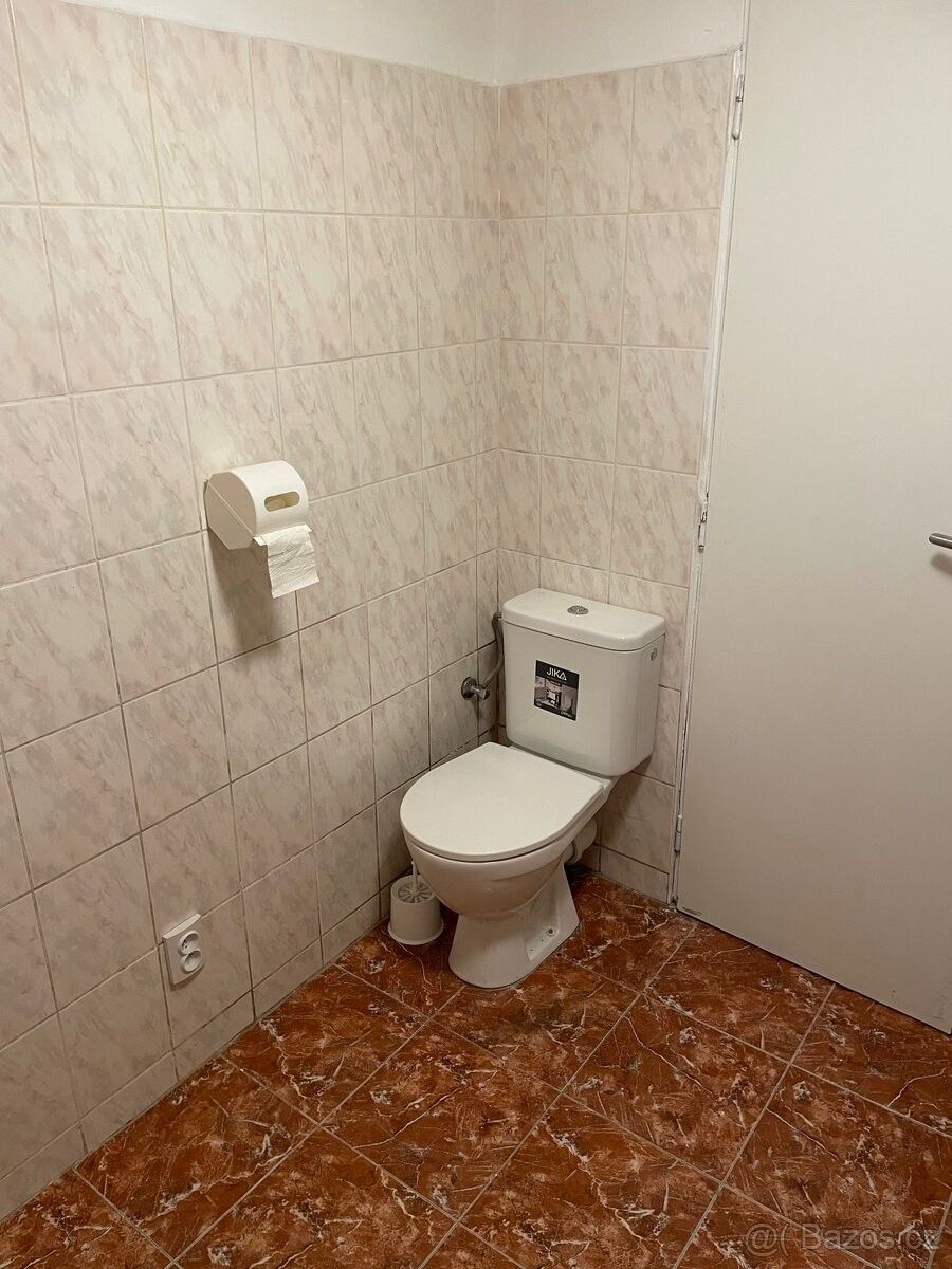 Pronájem ostatní - České Budějovice, 370 01 - 5