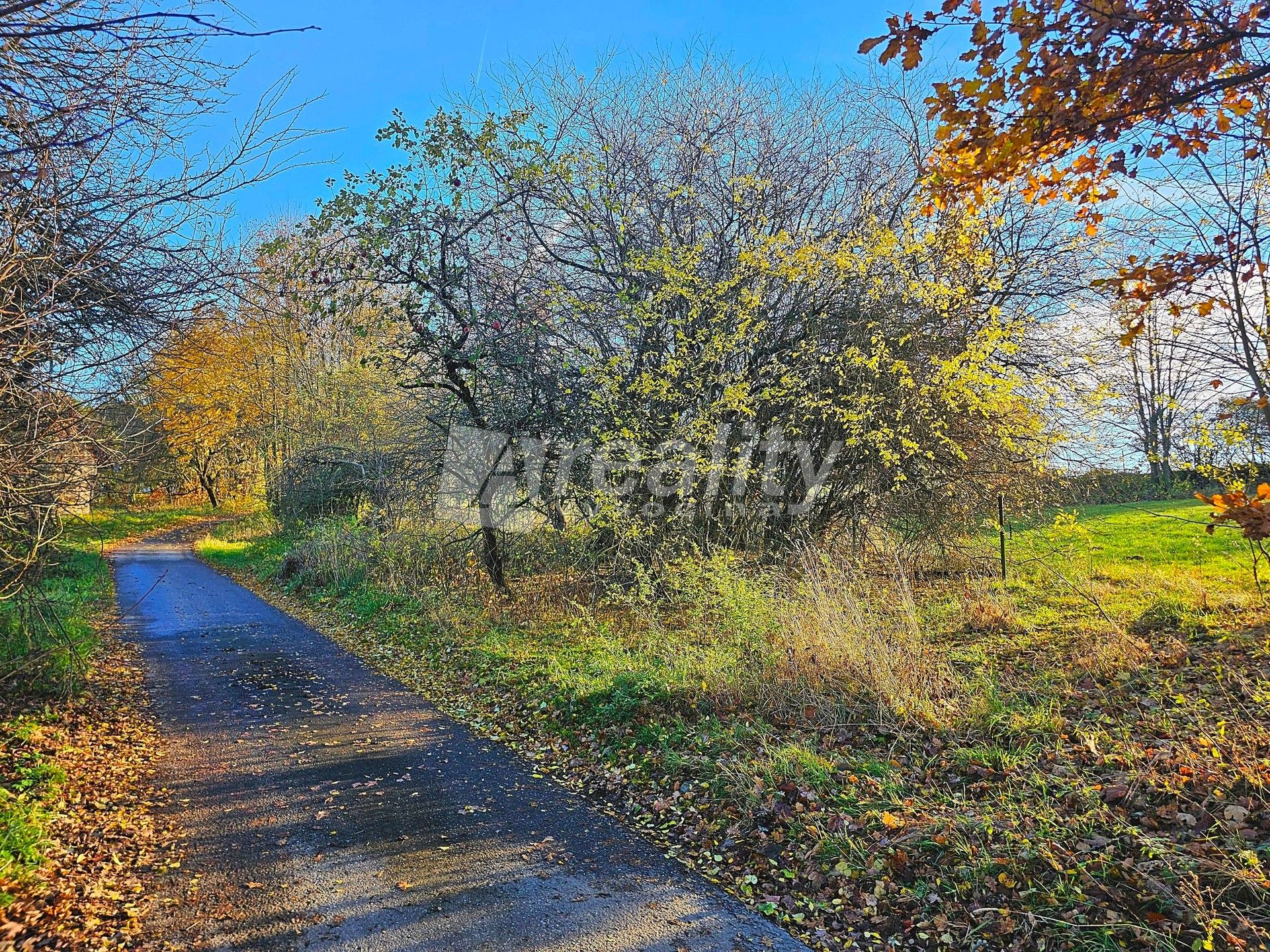 Pozemky pro bydlení, Zbinohy