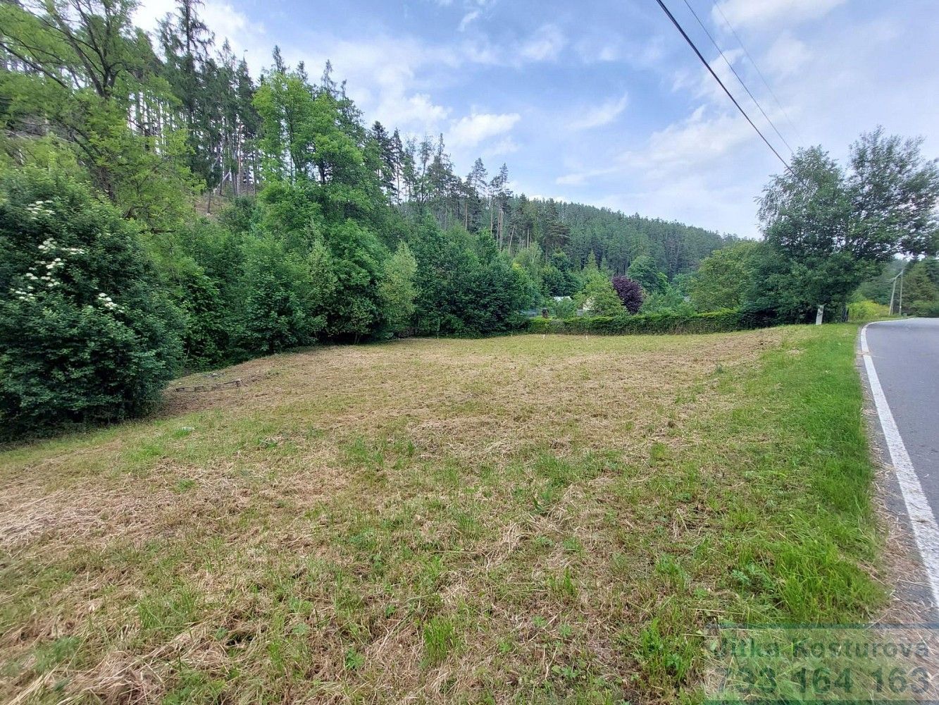 Prodej pozemek pro bydlení - Hošťálkovy - Staré Purkartice, okres Bruntál, Moravskoslezský kraj - 5