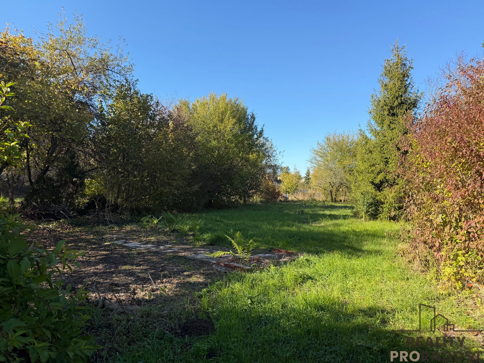 Zahrada · 933 m² · Luční, Havířov Bludovice - 3