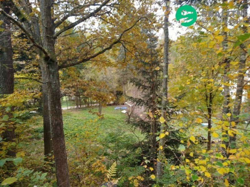 Prodej pozemek pro bydlení - Dolní Štěpanice, Benecko, 2 020 m²