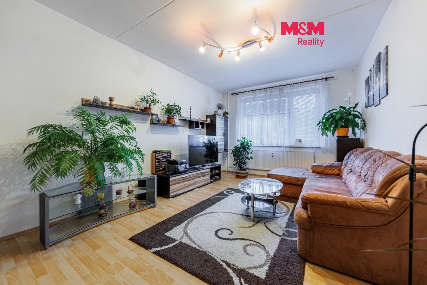 3+1, Sportovní, Sokolov, 74 m²