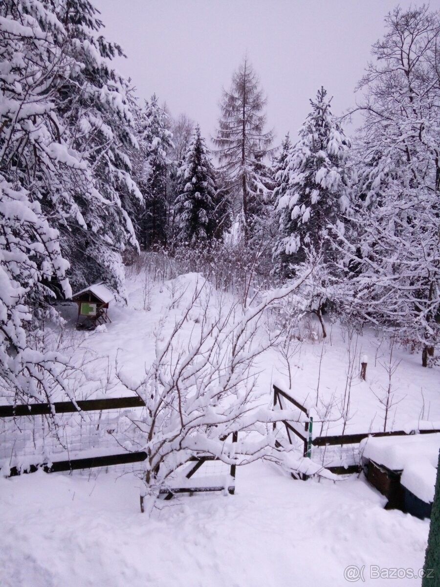 Prodej pozemek pro bydlení - Břidličná, 793 51