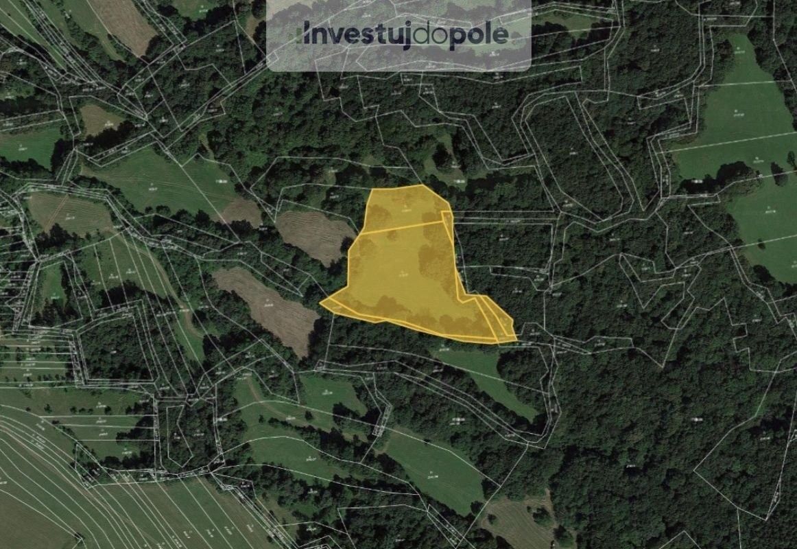 Prodej louka - Velká nad Veličkou, 696 74, 2 938 m²