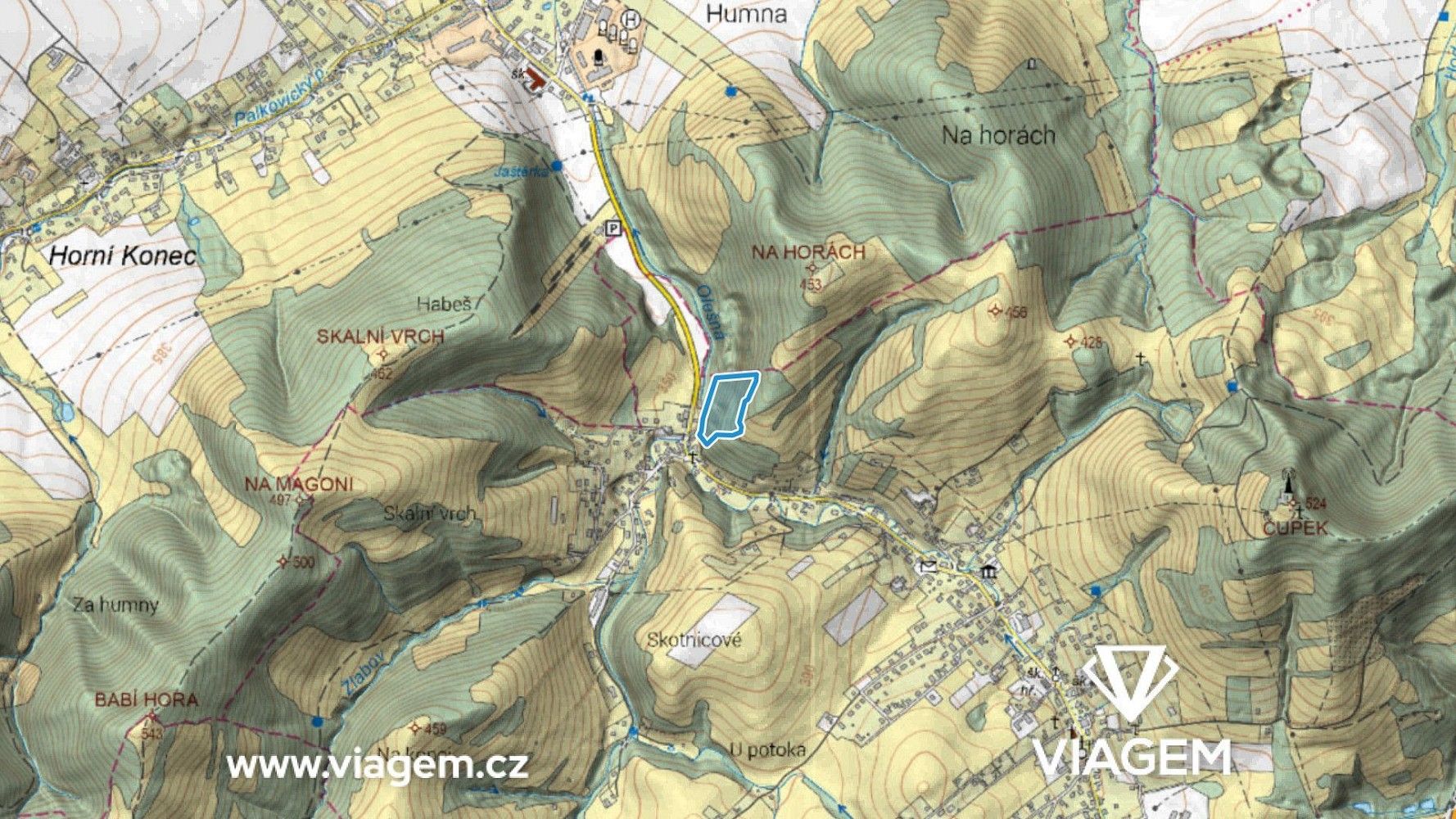 Les · Metylovice, okres Frýdek-Místek, Moravskoslezský kraj - 3