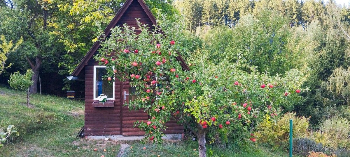 Zahrady, Česká Třebová, 560 02 - 2