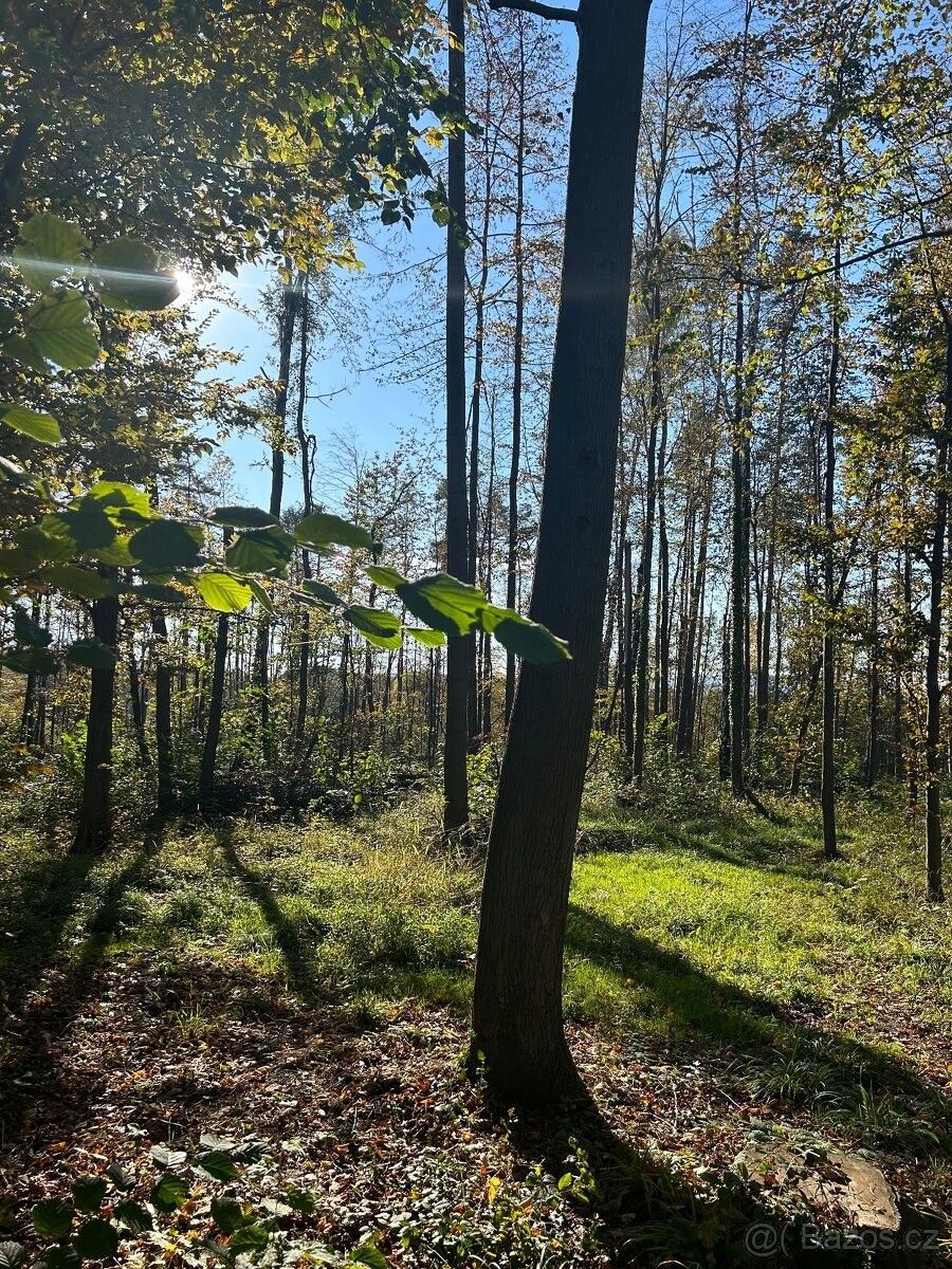 Prodej pozemek pro bydlení - Frýdek-Místek, 738 01