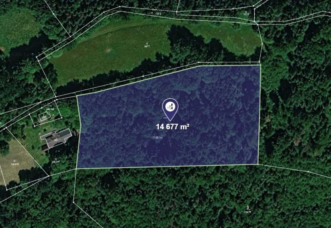 Lesy, Morávka, 14 677 m² - 1