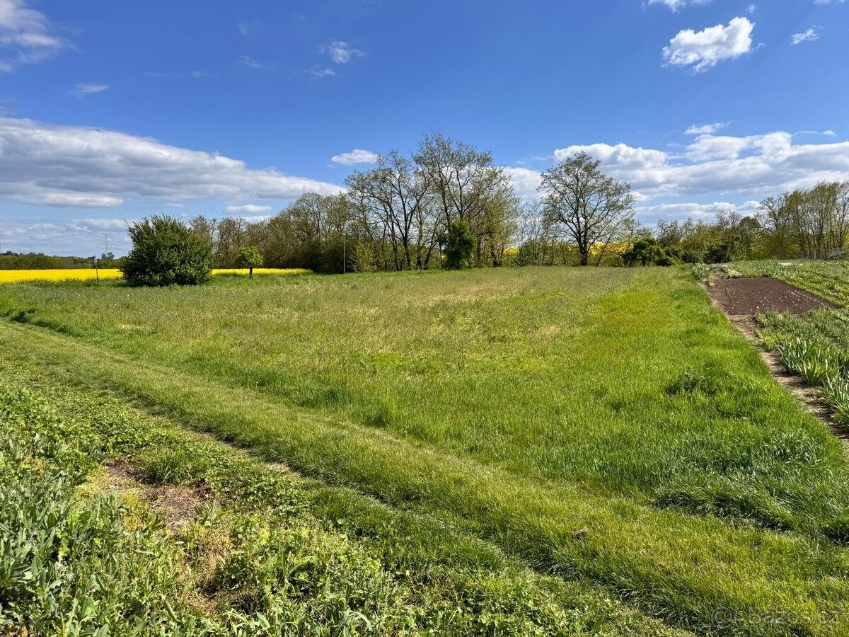 Prodej pozemek pro bydlení - Beřovice, 273 71