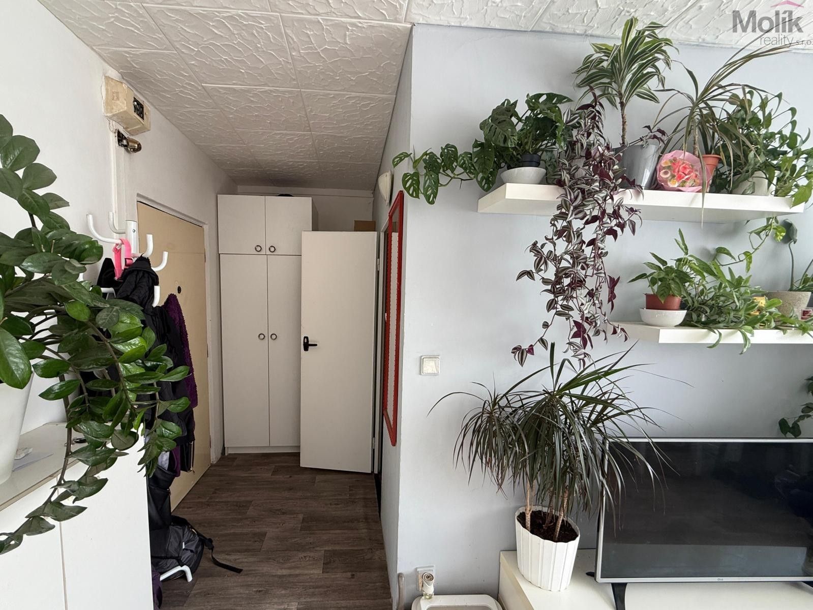 Pronájem byt 1+1 - K. H. Borovského, Most, 26 m² - 5