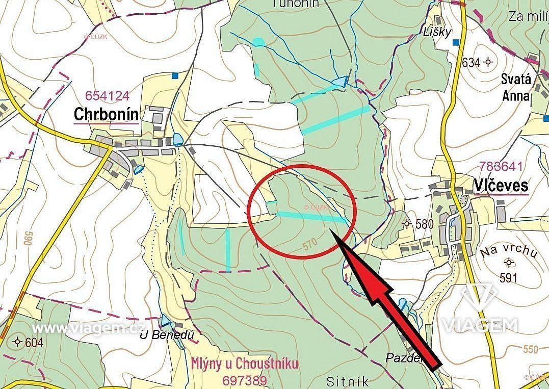Les · Chrbonín, okres Tábor, Jihočeský kraj - 4