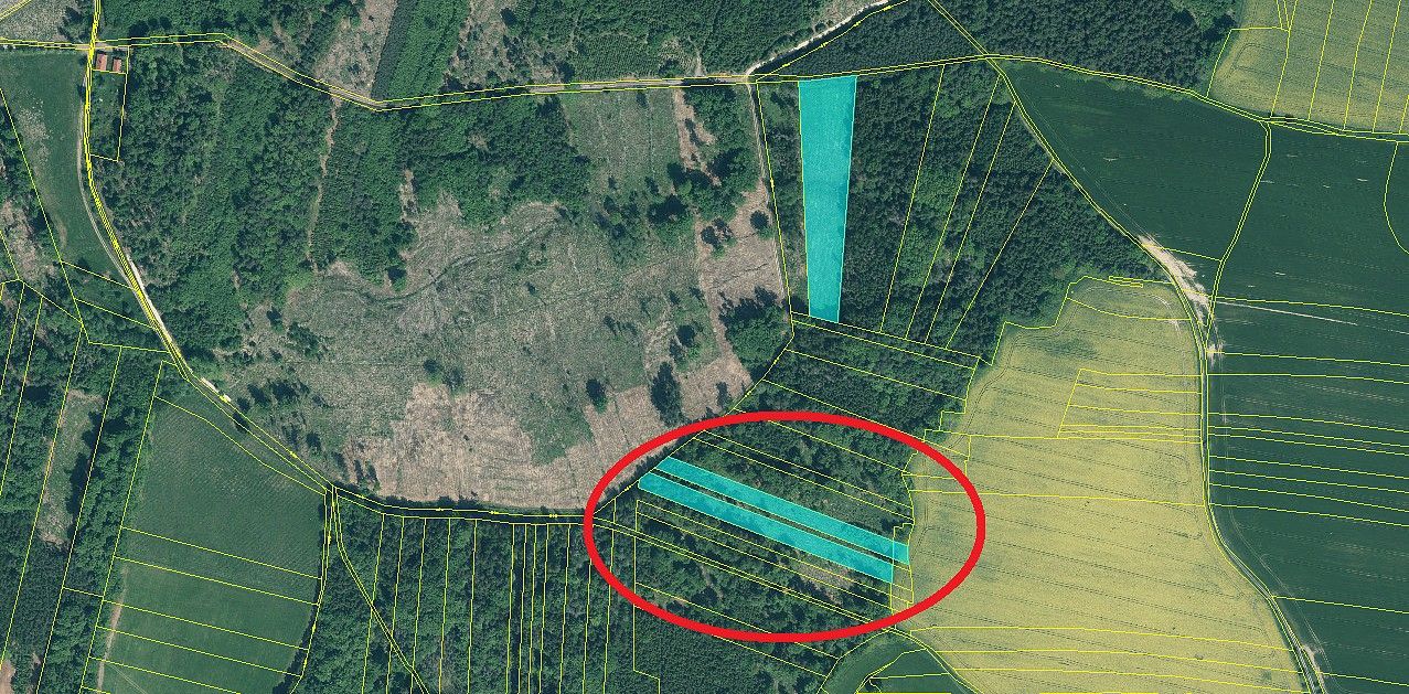 Les, 7 415 m²