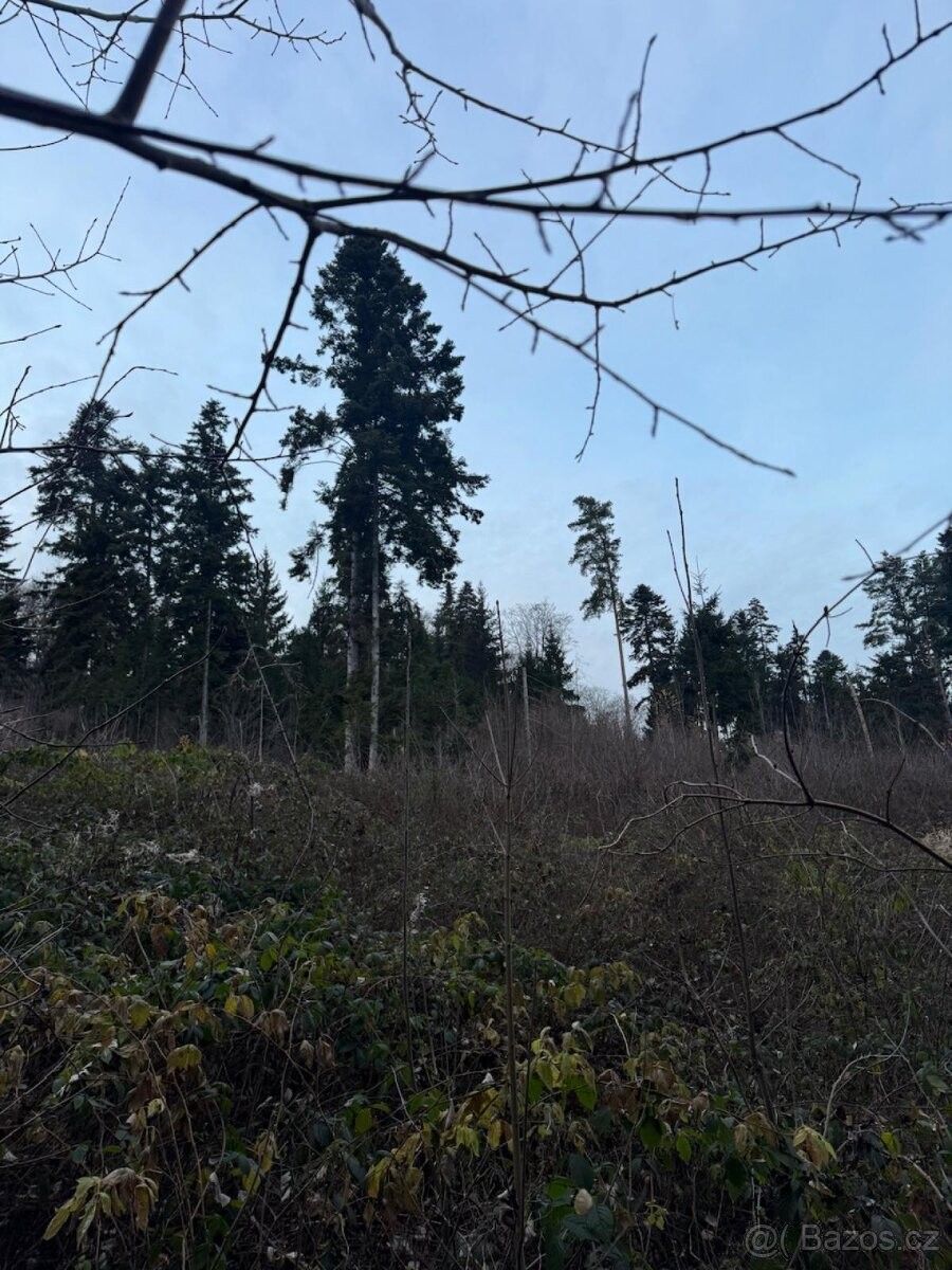 Pozemky pro bydlení, Čkyně, 384 81