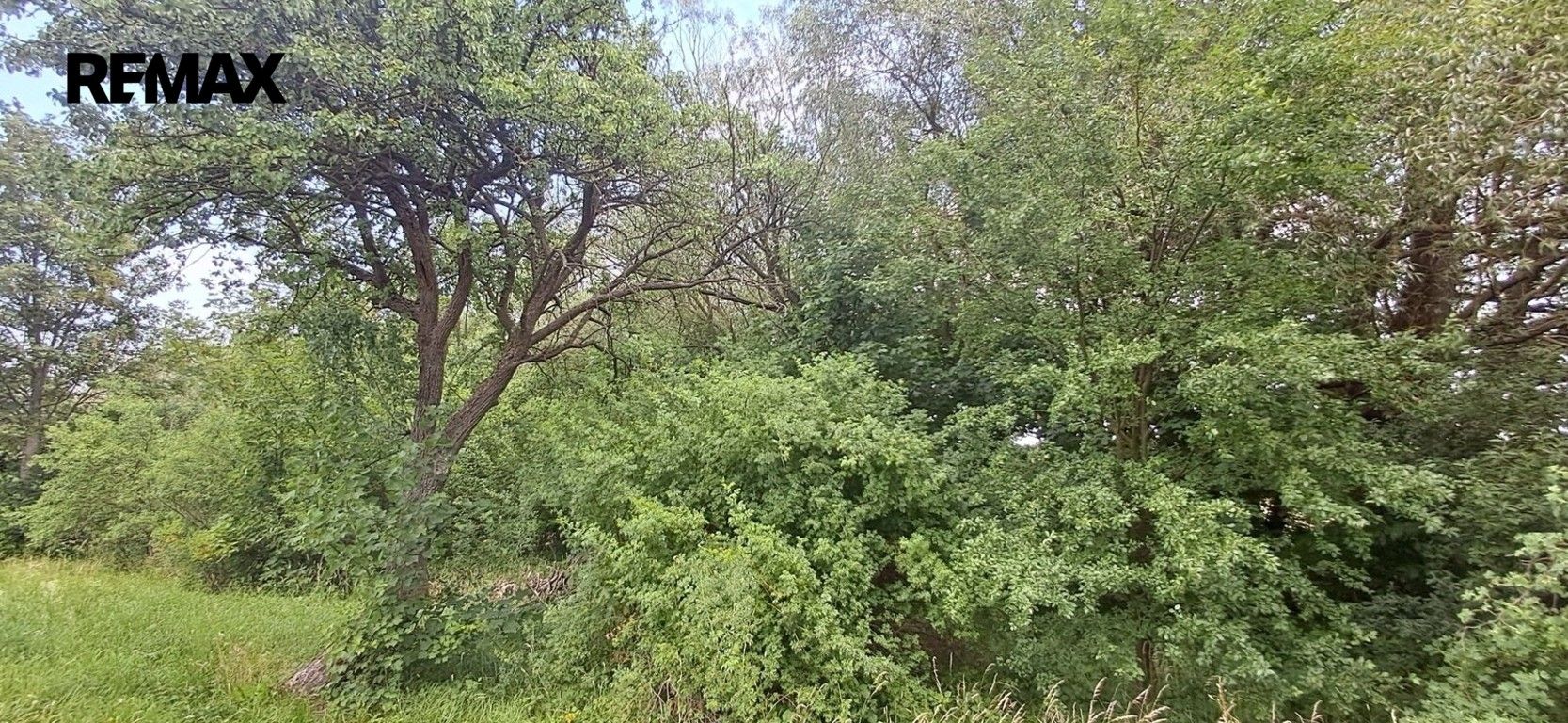 Lesy, Rožmitál pod Třemšínem, 3 871 m² - 2