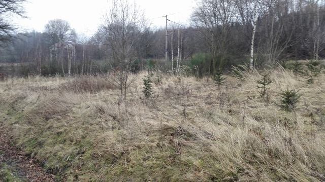 Prodej pozemek pro bydlení - Bačkov, 582 91