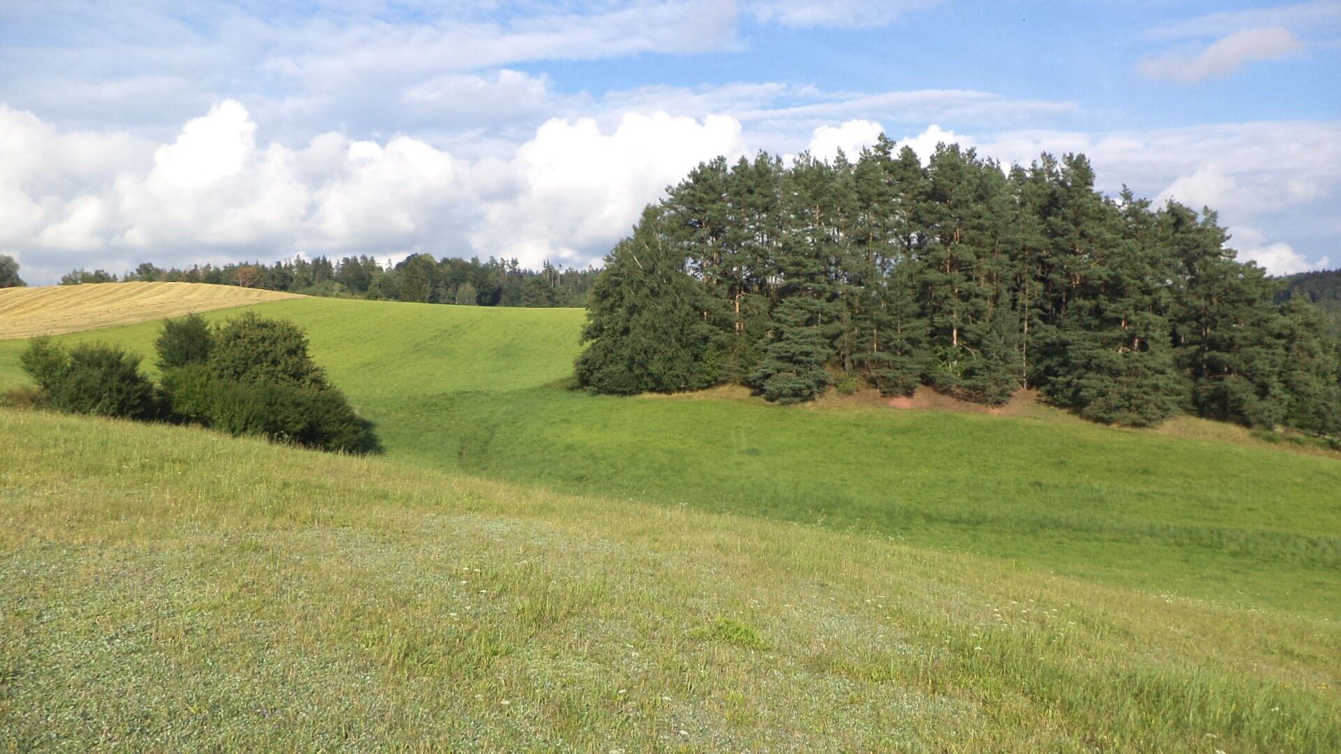 Prodej pozemek - Dolní Dobrouč, 34 731 m² - 5