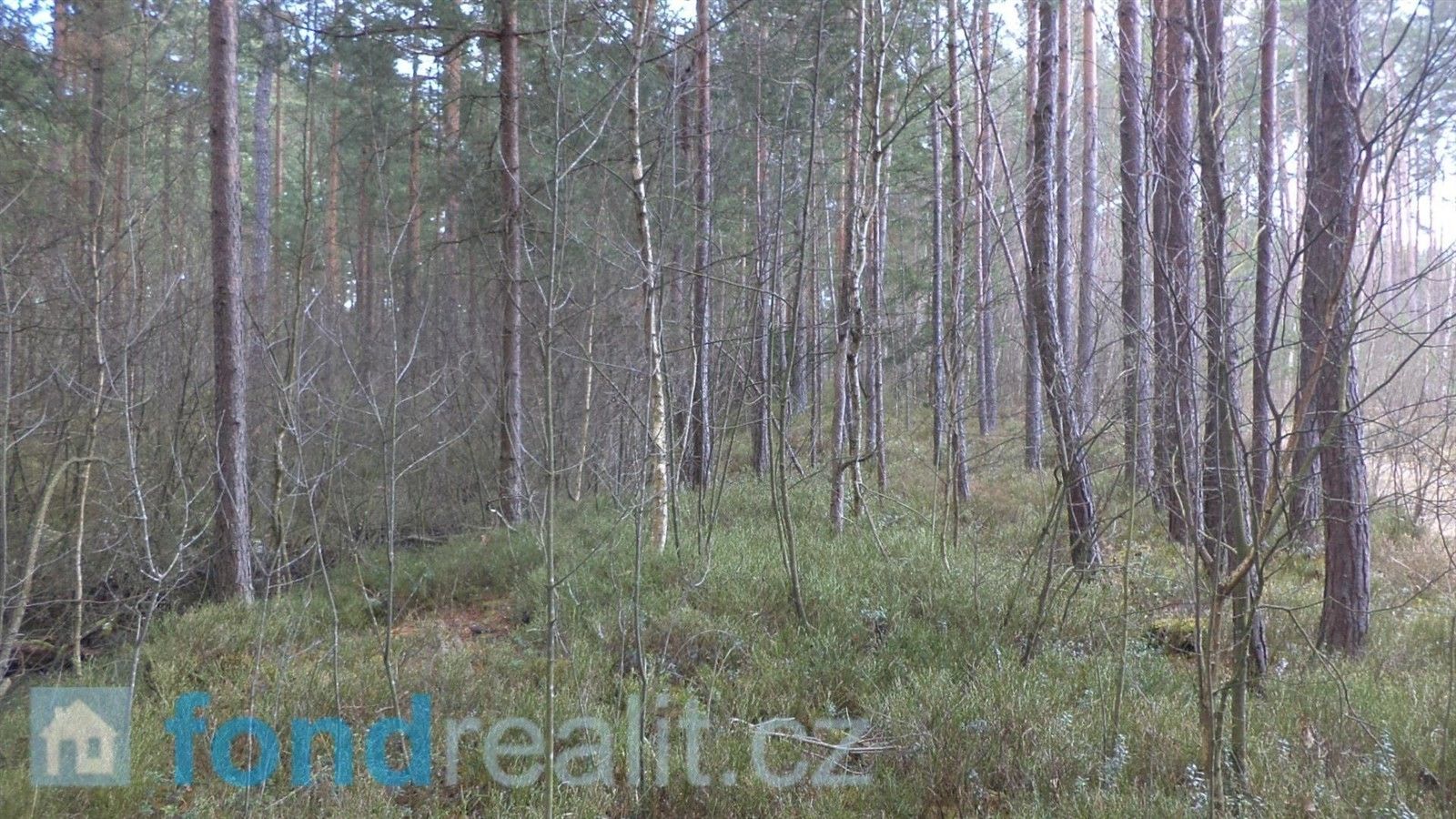 Lesy, Rapšach, 18 042 m²