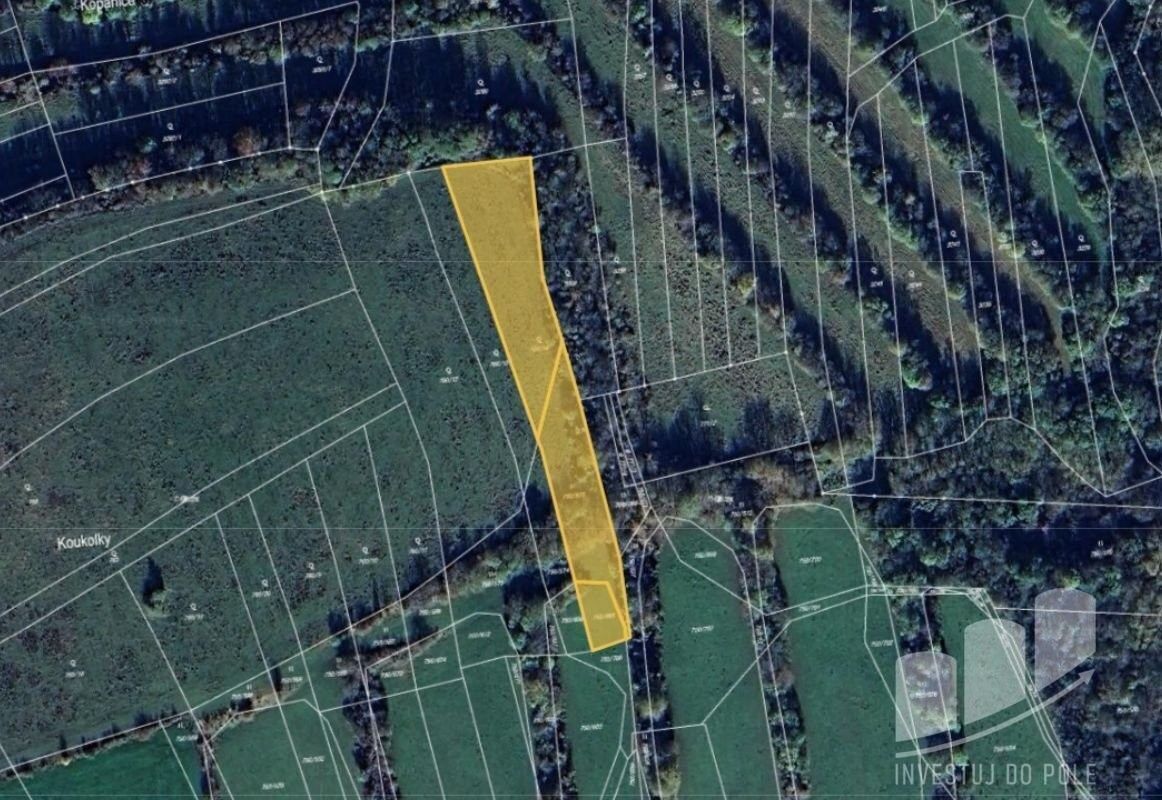 Prodej pozemek - Boršice u Buchlovic, 687 09, 3 960 m²