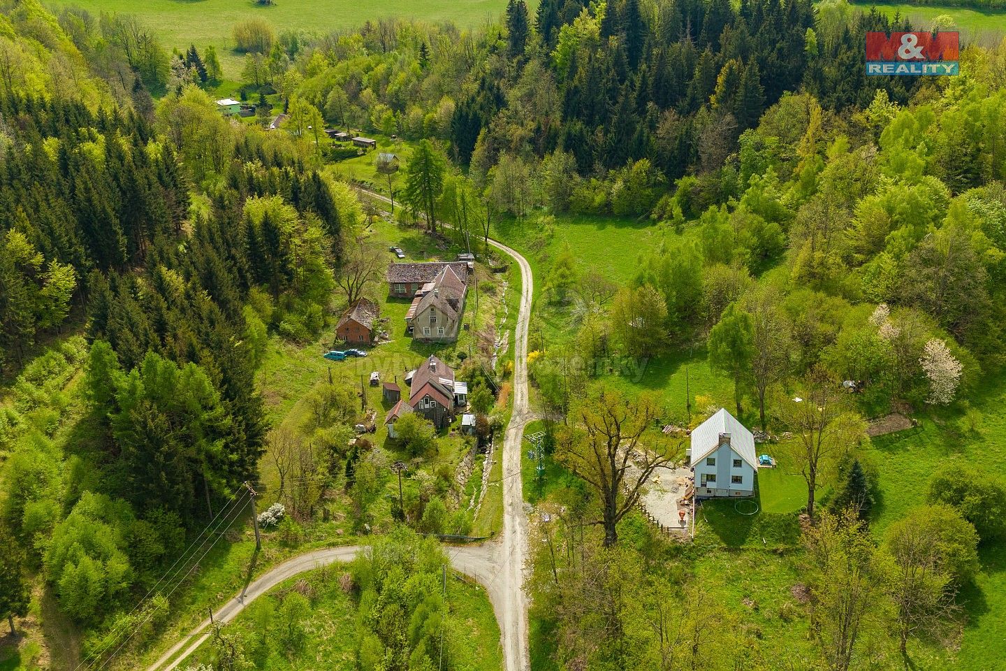 Louka · Javorník - Travná, okres Jeseník, Olomoucký kraj - 3