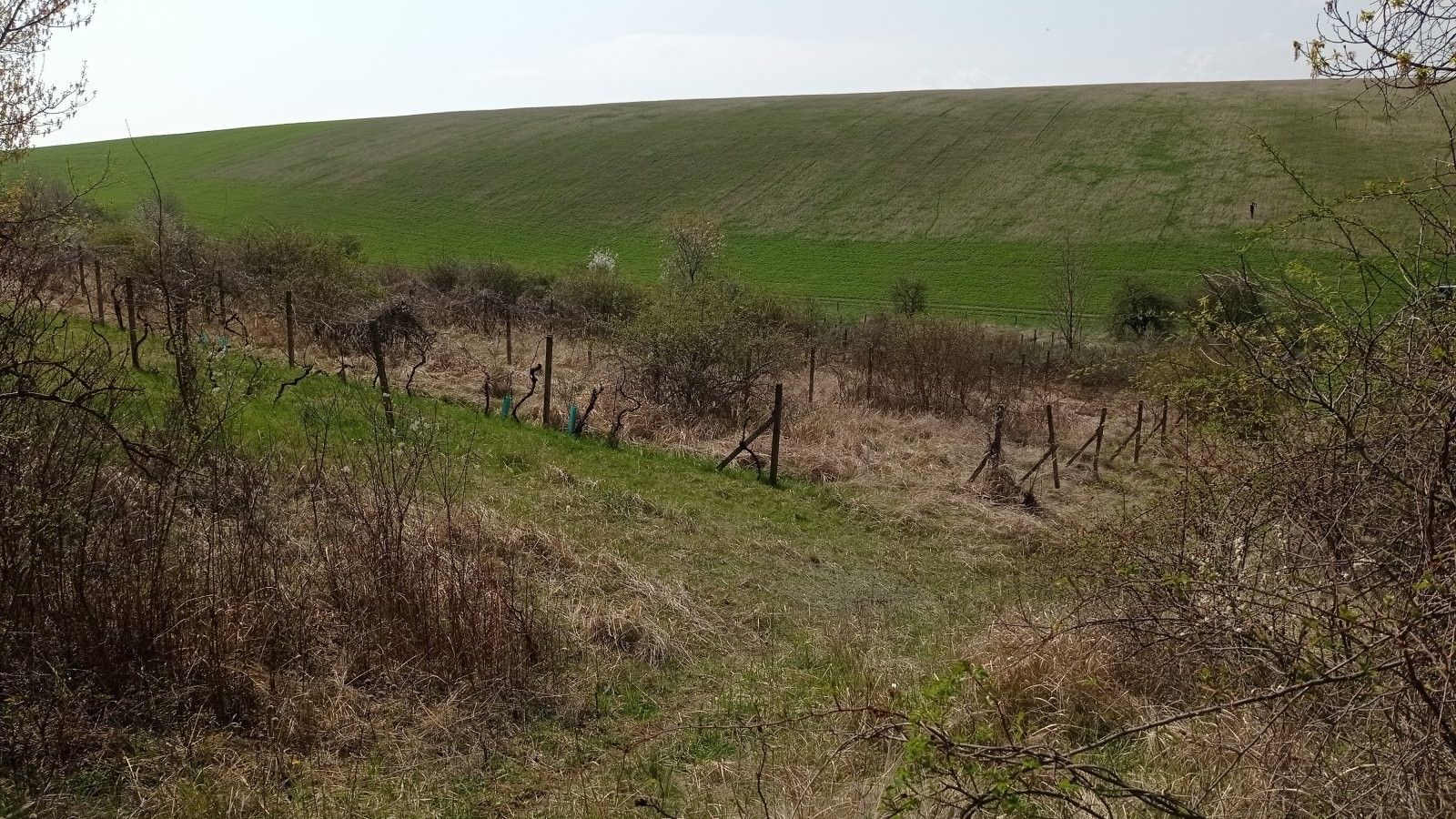 Prodej pozemek - Velké Němčice, 6 m²