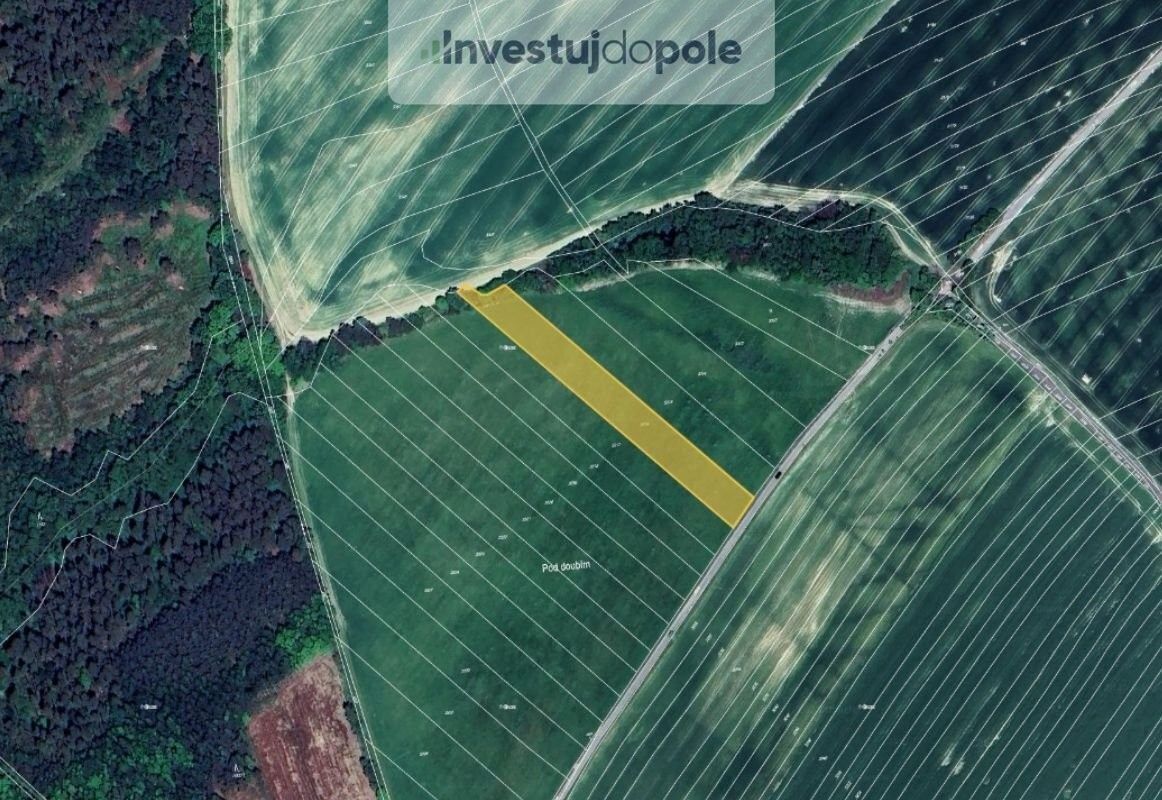 Prodej zemědělský pozemek - Velký Újezd, 783 55, 3 835 m²