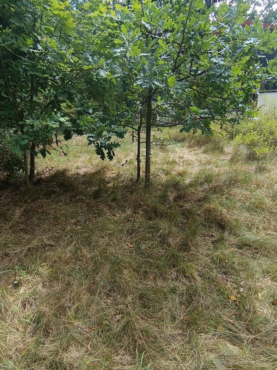 Prodej pozemek pro bydlení - Aš, 352 01