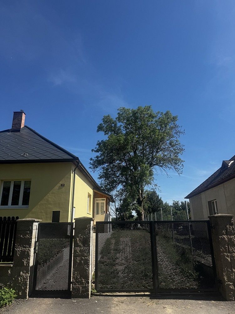 Pronájem byt 3+1 - Niměřice - Horní Cetno, okres Mladá Boleslav, 120 m² - 1