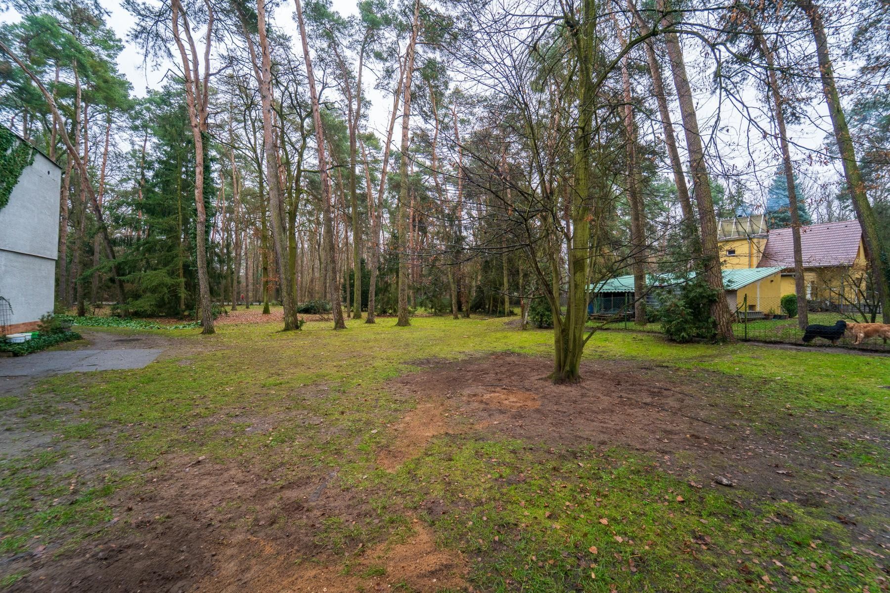 Prodej pozemek pro bydlení - Hradištko