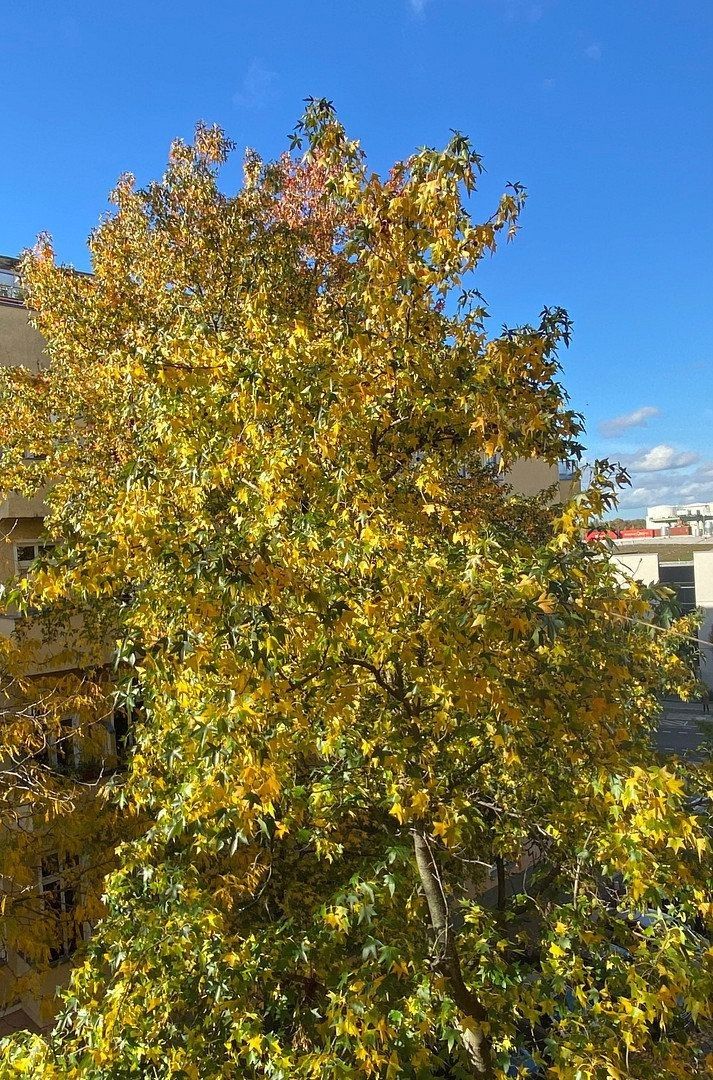Pronájem byt 3+kk - Berlin Moabit Berlin 10551, 118 m² - 5