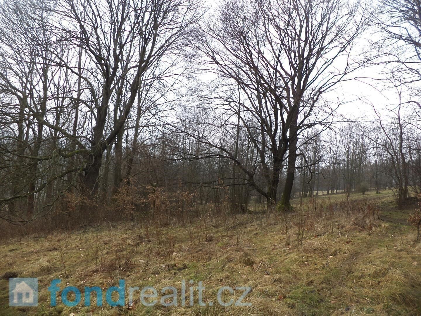 Prodej zemědělský pozemek - Česká Kamenice Horní Kamenice, 5 161 m² - 2