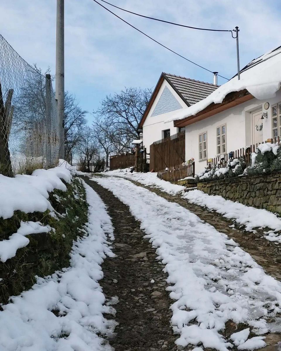 Chata · Boleradice, Jihomoravský kraj - 3