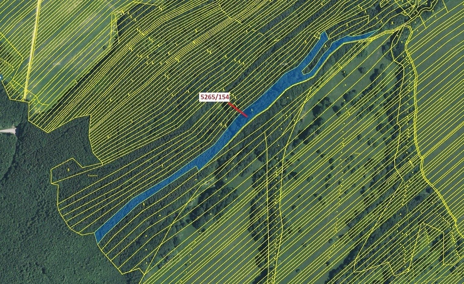 Les · Strání, okres Uherské Hradiště, Zlínský kraj - 2