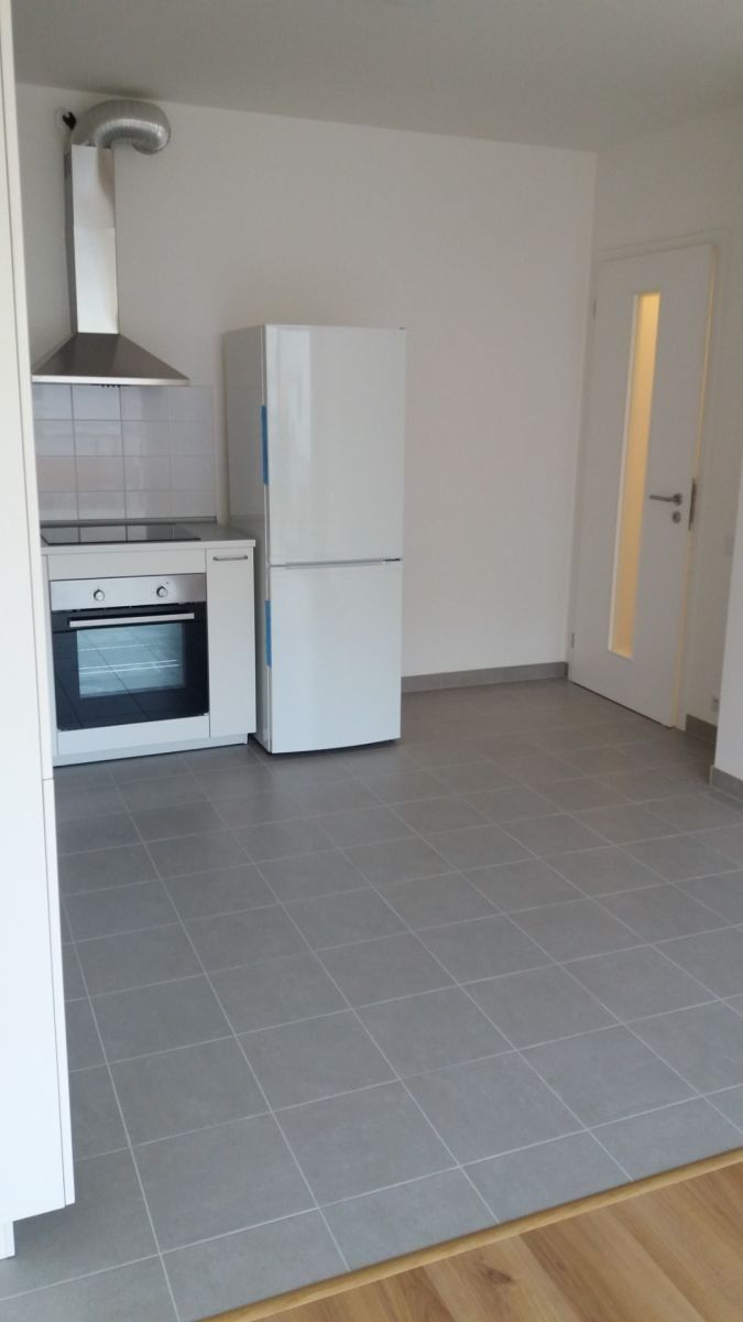 Pronájem byt 2+kk - Olgy Havlové, Praha - Žižkov, 52 m² - 5