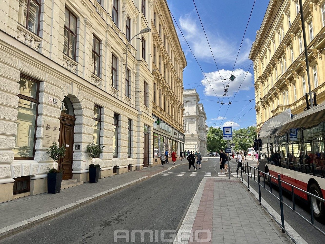 Pronájem obchodní prostory - Brno - Brno-město, okres Brno-město, Jihomoravský kraj, 63 m² - 5