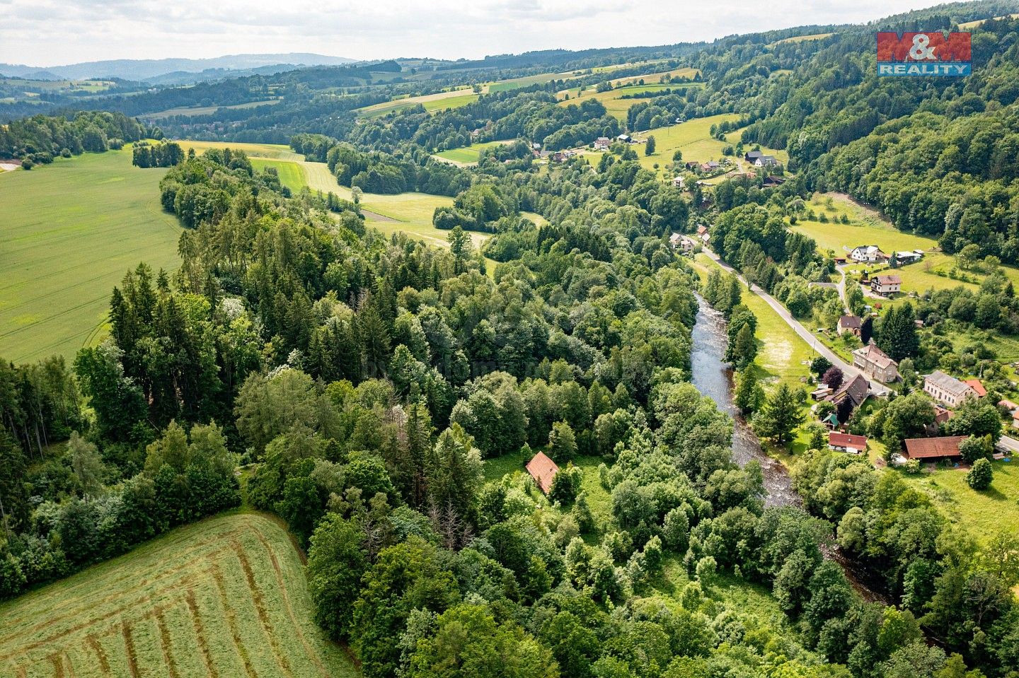 Les · Peřimov, okres Semily, Liberecký kraj - 3