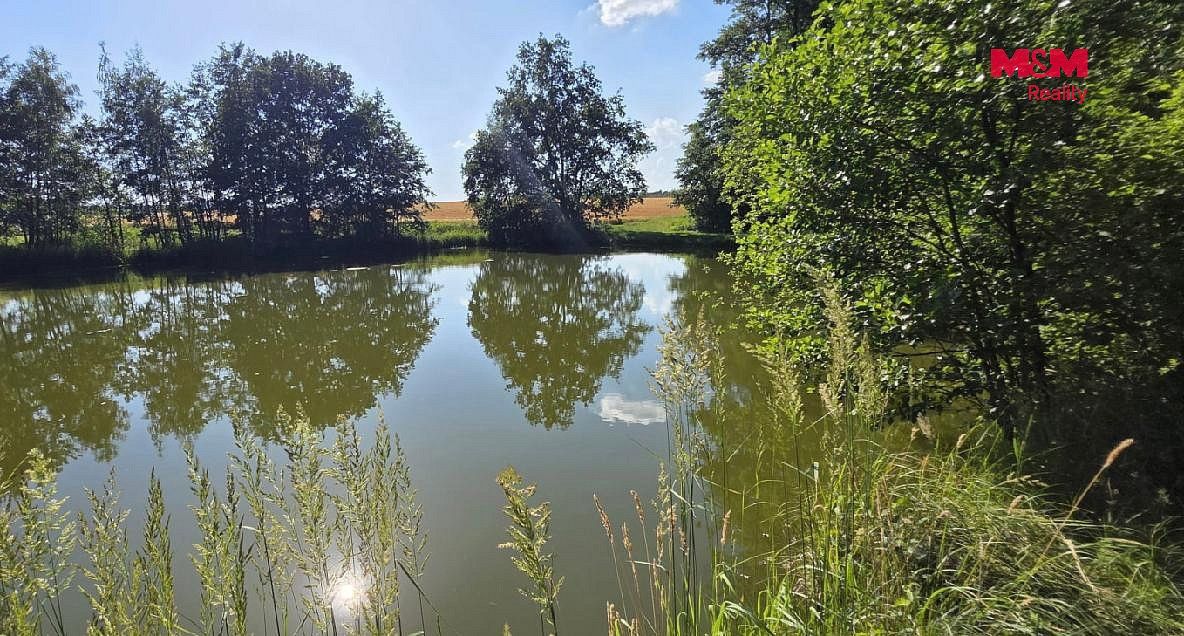 Rybníky, Slezské Rudoltice - Amalín, okres Bruntál, Moravskoslezský kraj - 2